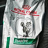 cat, cat_food, pet_food, veterinary, nutrition, diabetic, food_bag, packaging, brand, royal_canin, animal_illustration, illustration, printed_text, red, green, white, car_interior, car_seat, close_up, product_photo