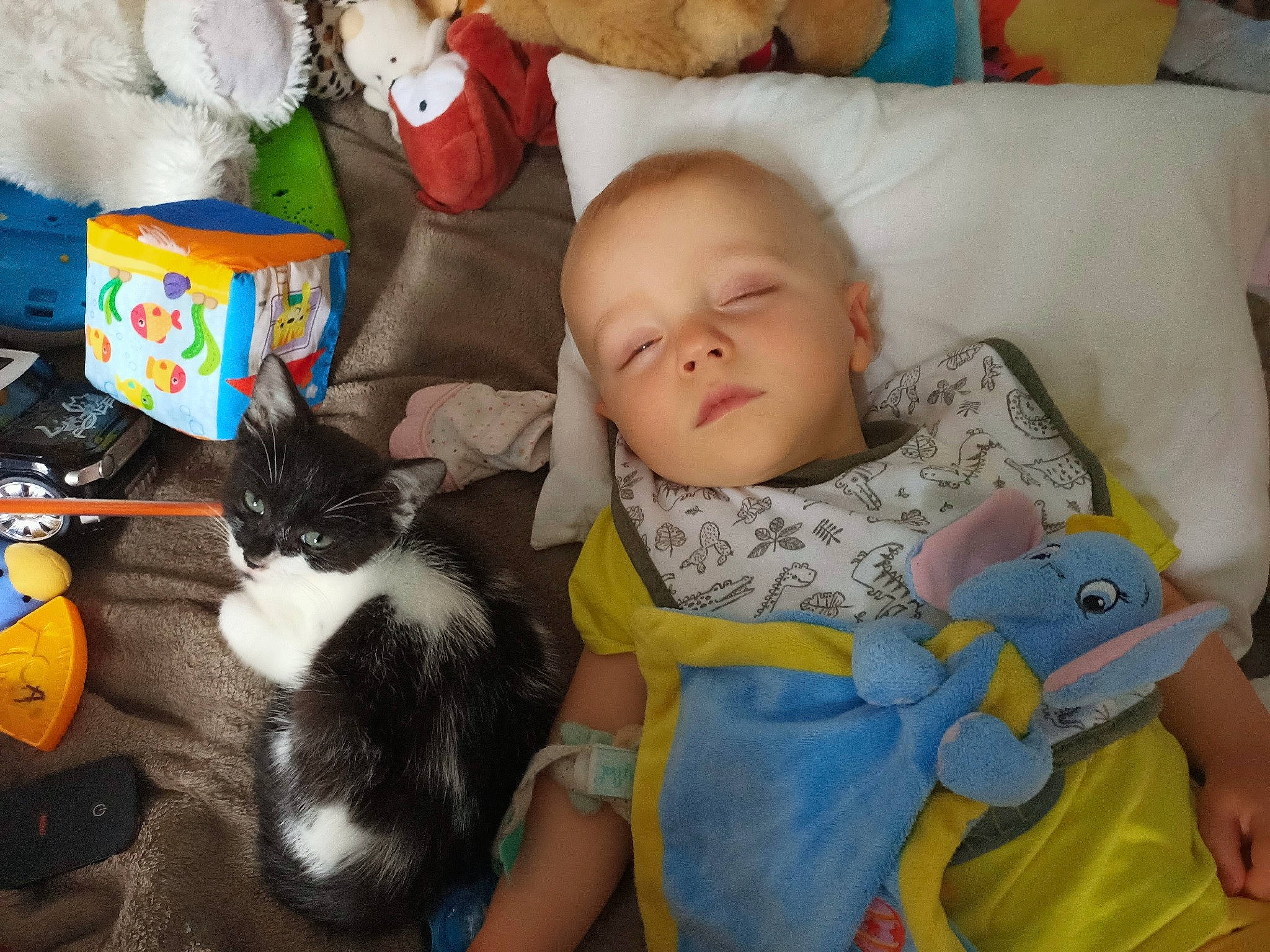 Enzo participe au concours pour gagner de l'argent avec cette photo : baby, baby_products, baby_toys, cat, cheek, child, ear, eye, felidae, head, iris, person, play, product, room, sitting, skin, small_to_medium_sized_cats, smile, toddler
