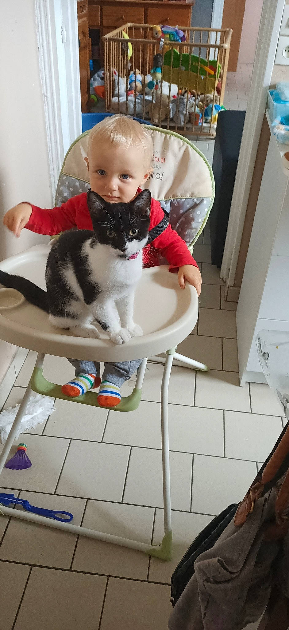 Enzo participe au concours pour gagner de l'argent avec cette photo : carnivore, cat, chair, child, domestic_short_haired_cat, felidae, kitten, lap, leg, person, play, sitting, small_to_medium_sized_cats, toddler, whiskers