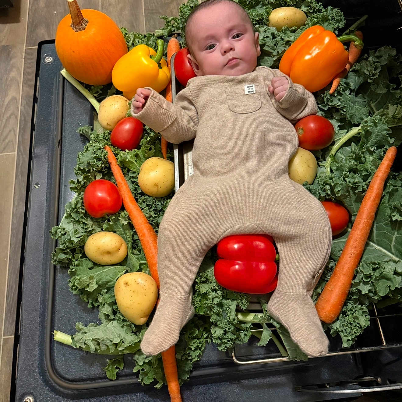 Santiago is registered to the contest to win money with this photo: baby, bell_pepper, carrot, clothing, cute, food, green, indoor, infant, kale, kitchen, lying_down, orange, orange_pumpkin, potato, produce, red, stove, tomato, vegetables