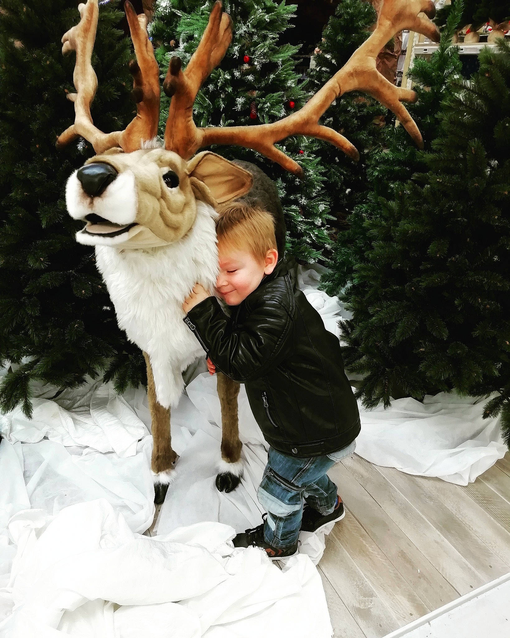 Kyliane participe au concours pour gagner de l'argent avec cette photo : antler, deer, fur, joy, mammal, person, reindeer, tree, vertebrate, wildlife, winter