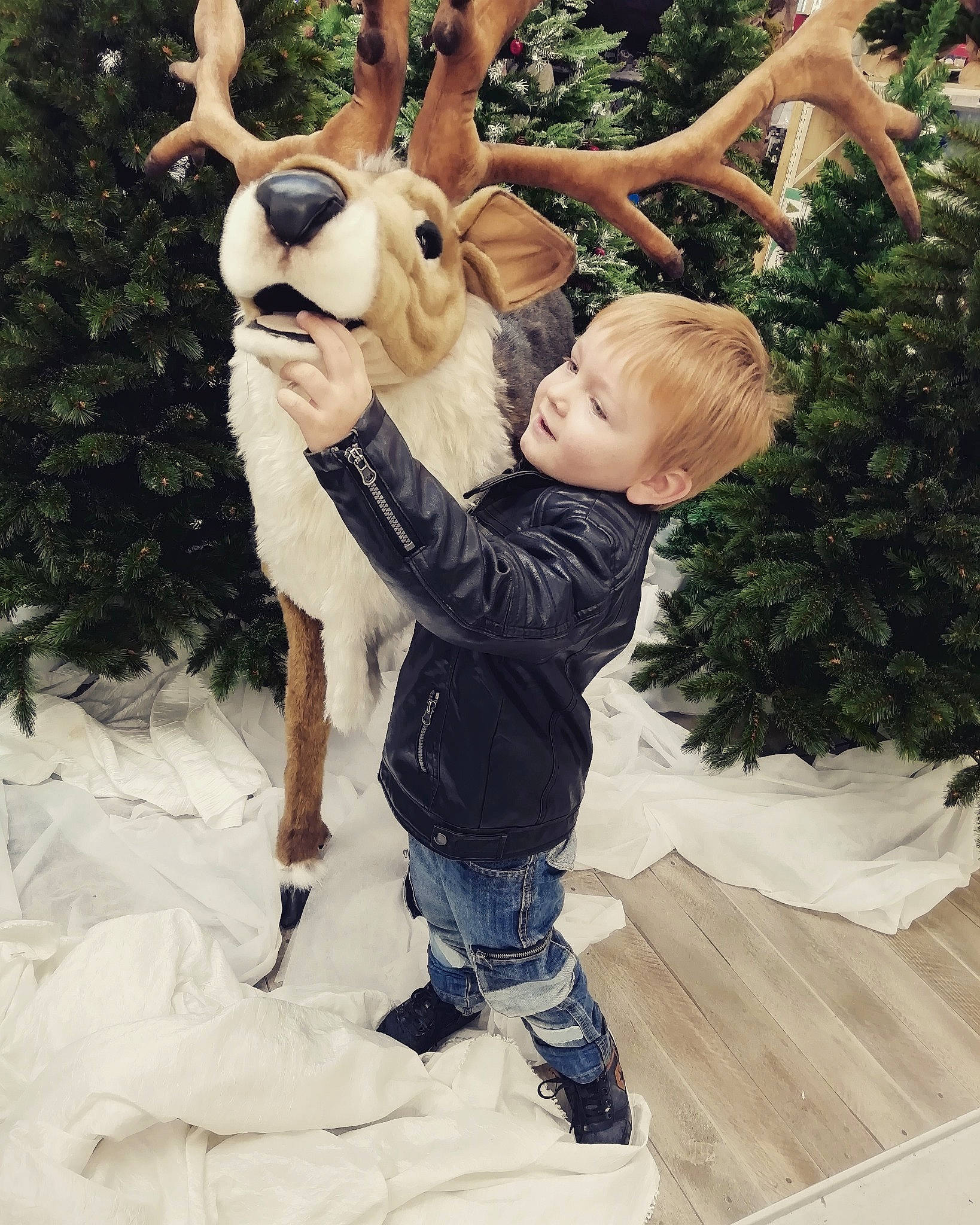 Kyliane a rejoint le concours — aidez-le/la à gagner de superbes lots ! deer, fun, fur, girl, mammal, person, reindeer, toddler, vertebrate