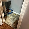 Athena is registered to the contest to win money with this photo: