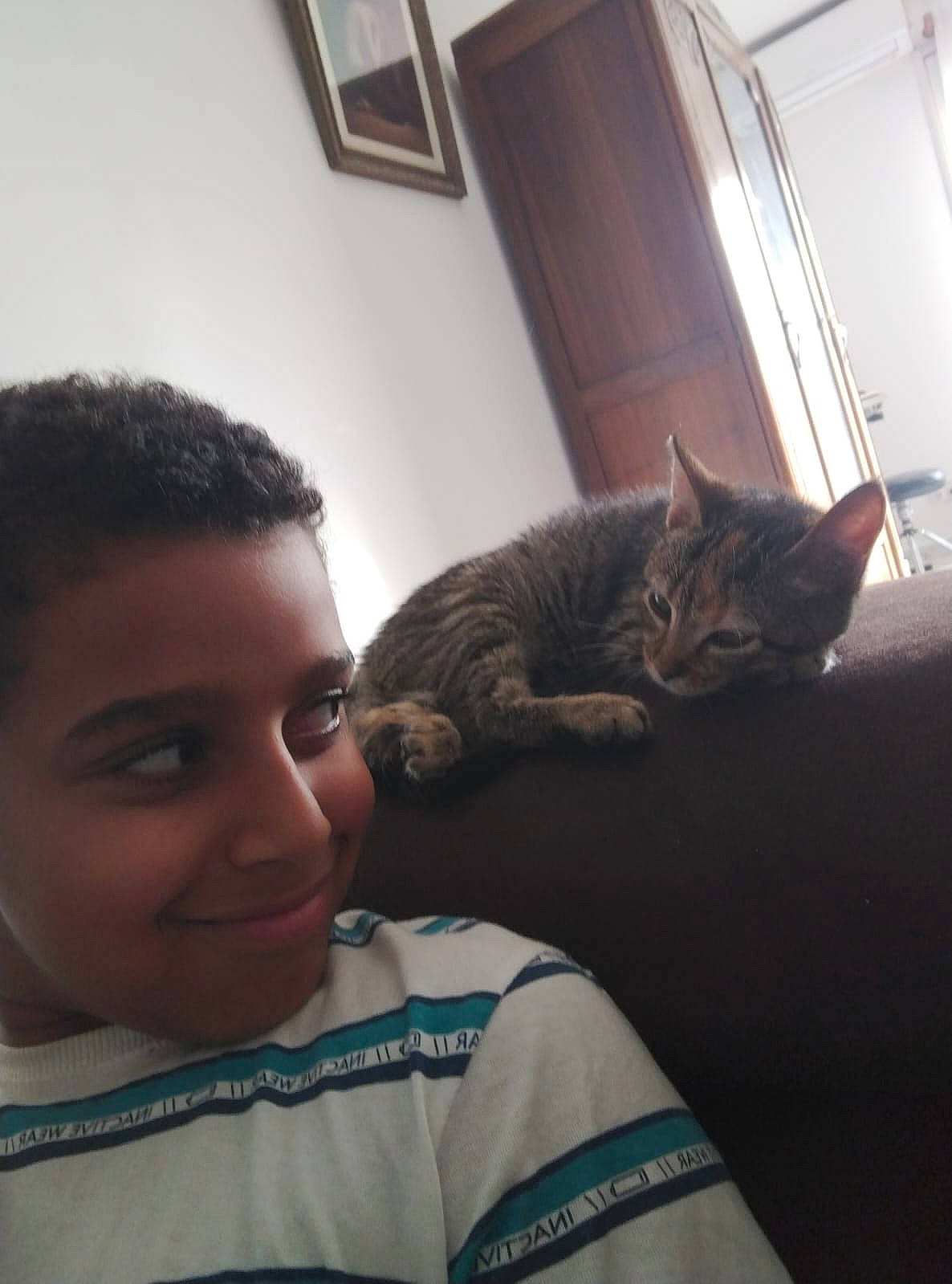 Lola participe au concours pour gagner de l'argent avec cette photo : buzz_cut, carnivore, cat, comfort, domestic_short_haired_cat, facial_hair, felidae, flooring, fur, hairstyle, happy, picture_frame, room, selfie, sitting, small_to_medium_sized_cats, smile, tail, whiskers, wood