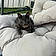 Milo