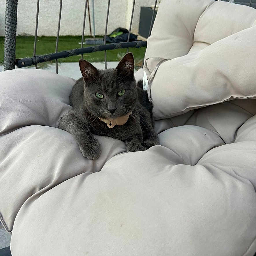 Milo