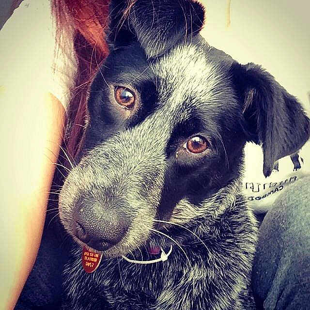 Mabel is registered to the contest to win money with this photo: