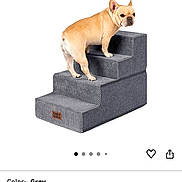 Zeus is registered to the contest to win money with this photo: accessory, amazon, cute, dog, e_commerce, fabric_texture, french_bulldog, grey, pet, pet_ramp, product_photo, screenshot, search_bar, shopping_app, small_dog, steps, studio_shot, thumbnail, ui_icons, white_background