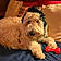 Willow