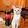 Coca