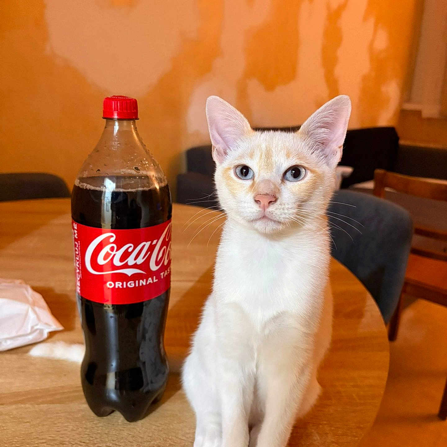 Coca