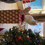 Sophia joined the competition — help win amazing prizes! christmas, christmas_decoration, christmas_eve, christmas_ornament, christmas_tree, couch, decoration, event, holiday, holiday_ornament, interior_design, light, ornament, red, room, toy, tree, white, window, wood