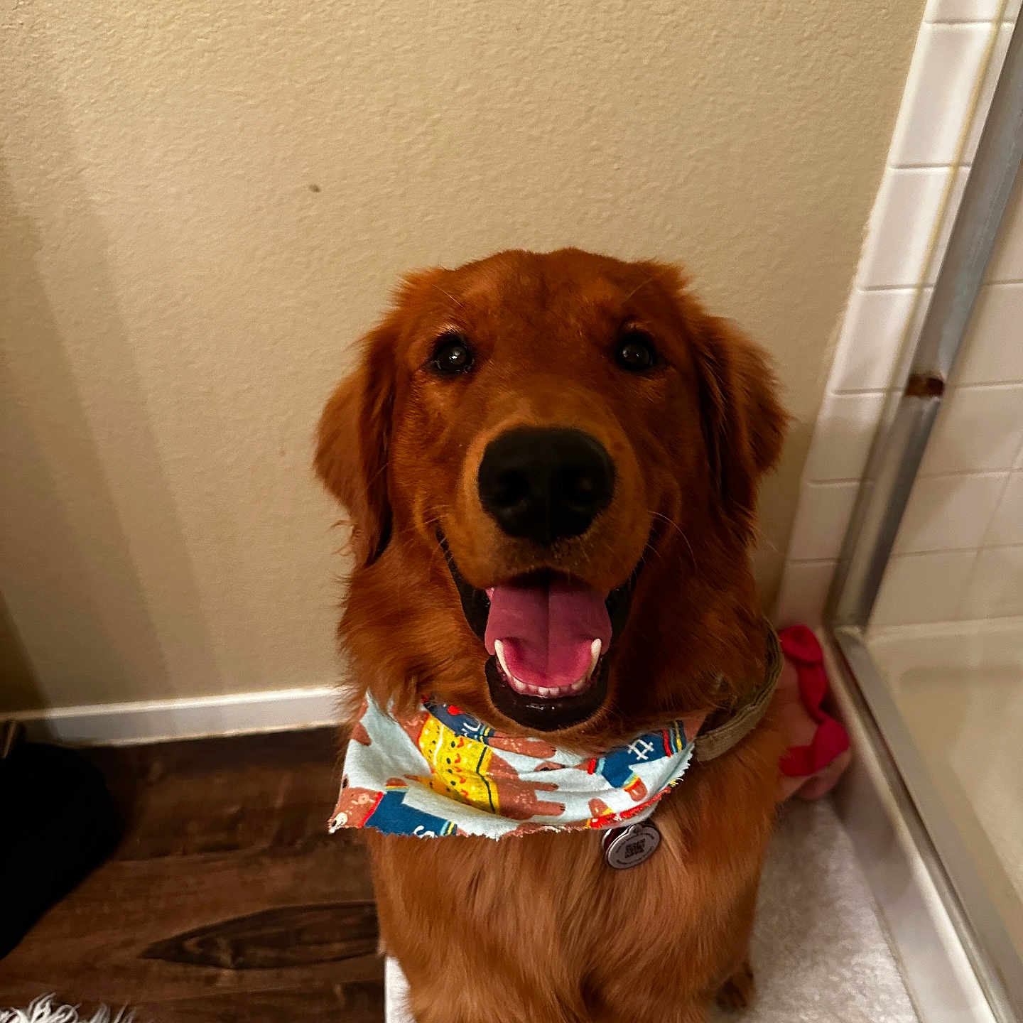 Yogi