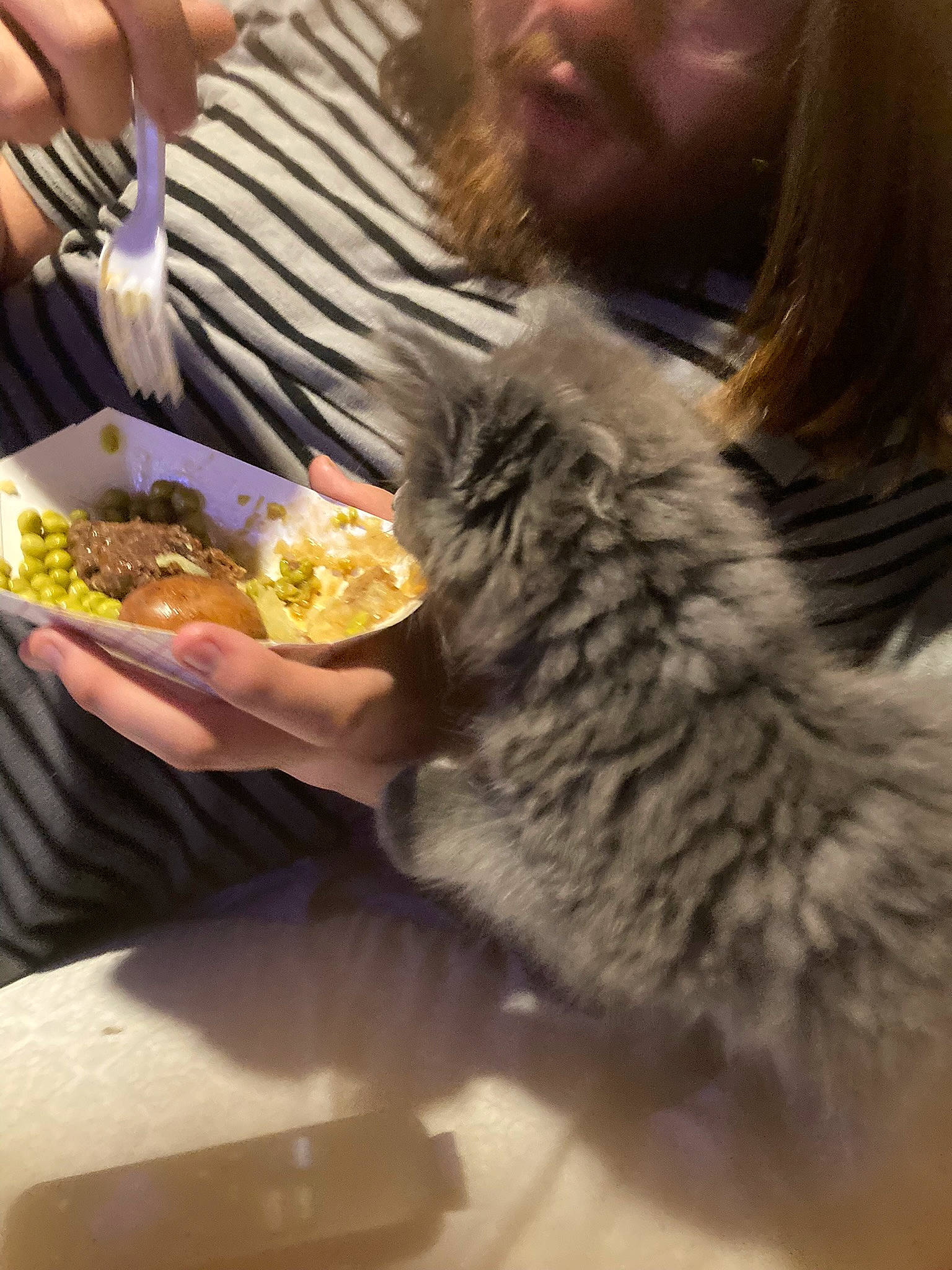 Vex is registered to the contest to win money with this photo: beard, canidae, claw, comfort_food, companion_dog, cuisine, dish, facial_hair, felidae, food, fur, fur_clothing, ingredient, nail, recipe, small_to_medium_sized_cats, snout, sporting_group, tableware, whiskers