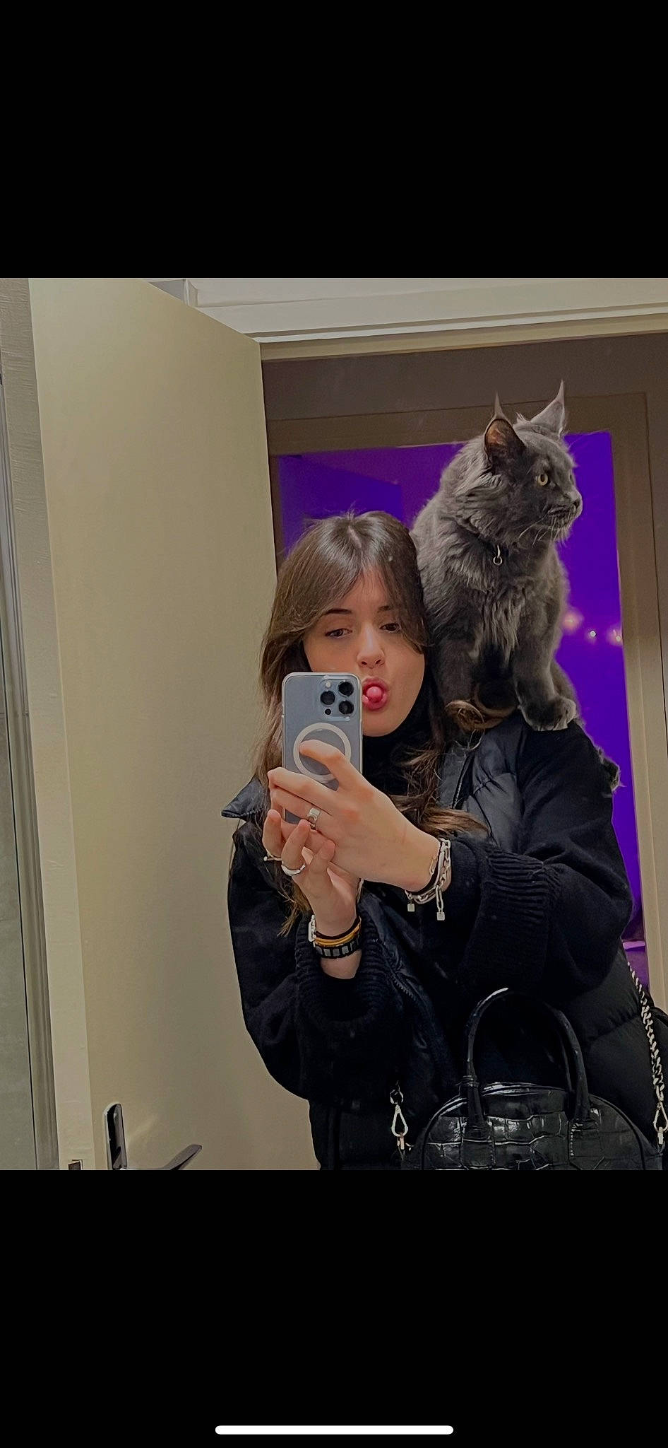 Tao participe au concours pour gagner de l'argent avec cette photo : carnivore, cat, event, eyewear, fashion_accessory, fashion_design, felidae, formal_wear, fun, fur, fur_clothing, gesture, jewellery, luggage_and_bags, magenta, mobile_phone, purple, selfie, small_to_medium_sized_cats, whiskers