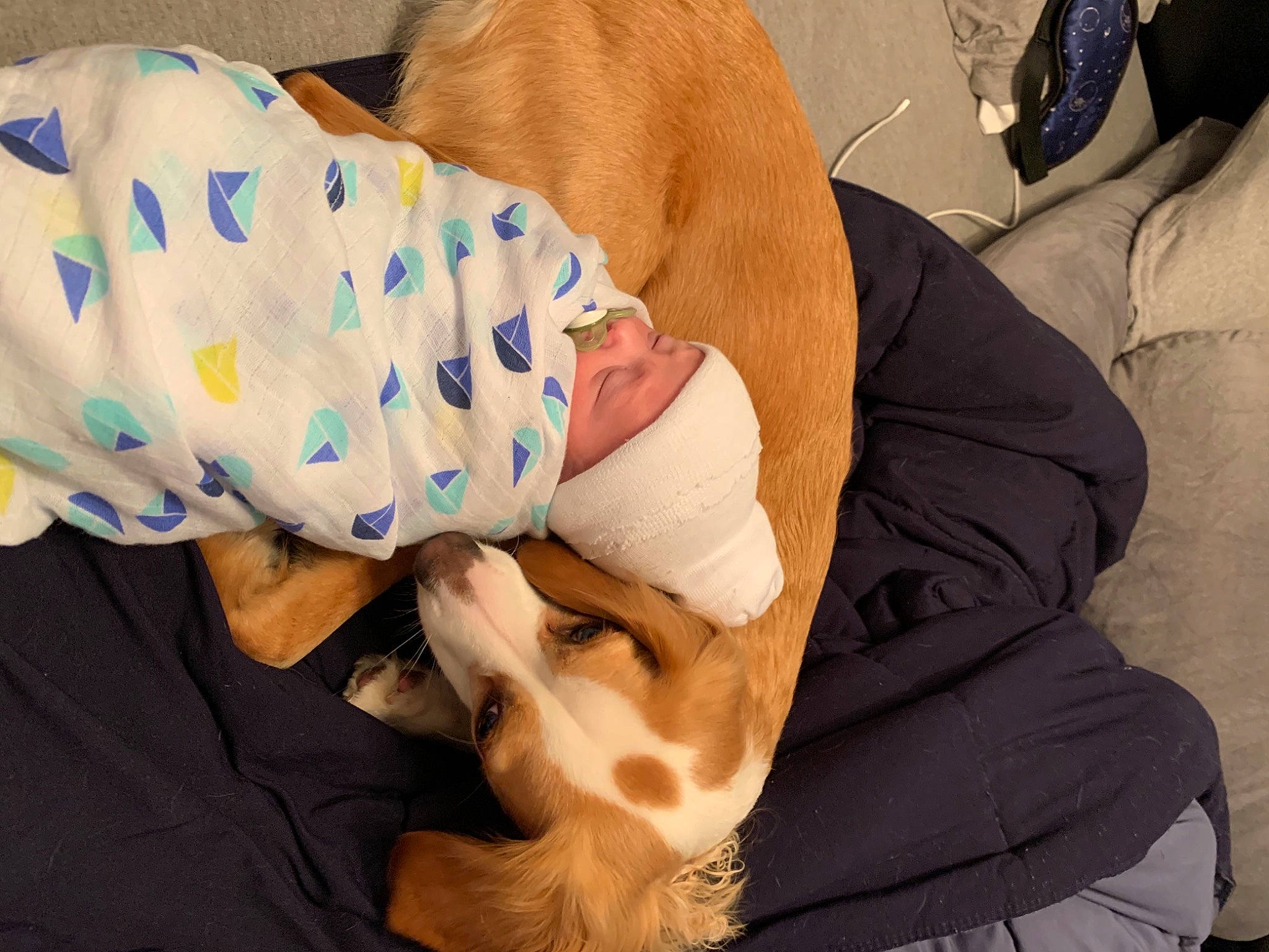 Xavier is registered to the contest to win money with this photo: abdomen, baby, baby_products, baby_toddler_clothing, child, comfort, elbow, gesture, headwear, human_leg, knee, lap, linens, nail, nap, person, sitting, sleep, sleeve, thigh