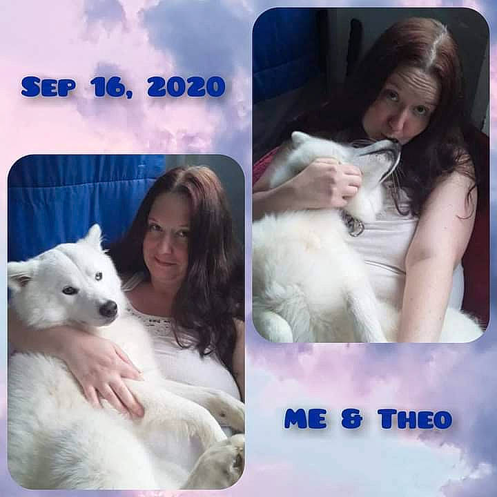 Theo joined the competition — help win amazing prizes! art, carnivore, comfort, companion_dog, dog, dog_breed, eyelash, font, friendship, fur, gesture, happy, interaction, leisure, long_hair, love, mammal, photo_caption, smile, white