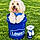Cujo