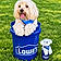Cujo