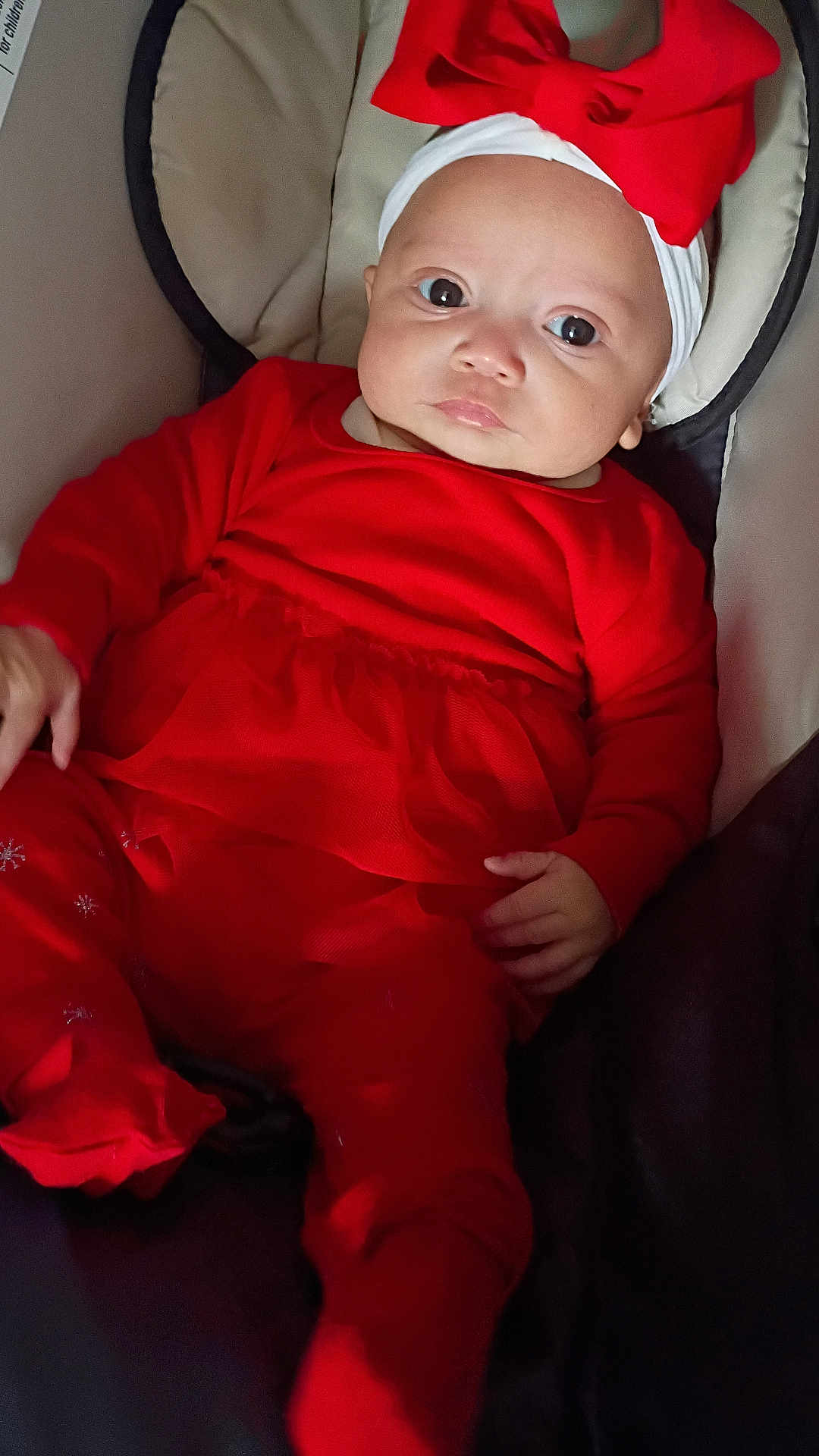 Erin'Reign joined the competition — help win amazing prizes! baby, infant, red_clothing, headband, bow, seated, cushion, indoor, portrait, cute, child, young, person, expressionless, holiday_outfit, closeup, small_hands, comfortable, soft_lighting, warm_colors