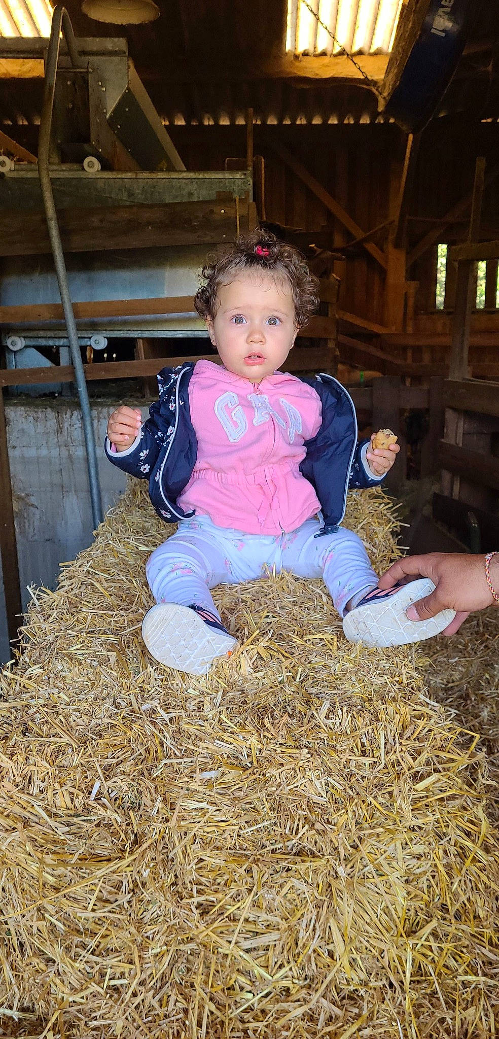 Nina a rejoint le concours — aidez-le/la à gagner de superbes lots ! agriculture, baby_toddler_clothing, child, event, fun, grass, happy, hay, people_in_nature, person, plant, sitting, soil, straw, toddler, window, wood