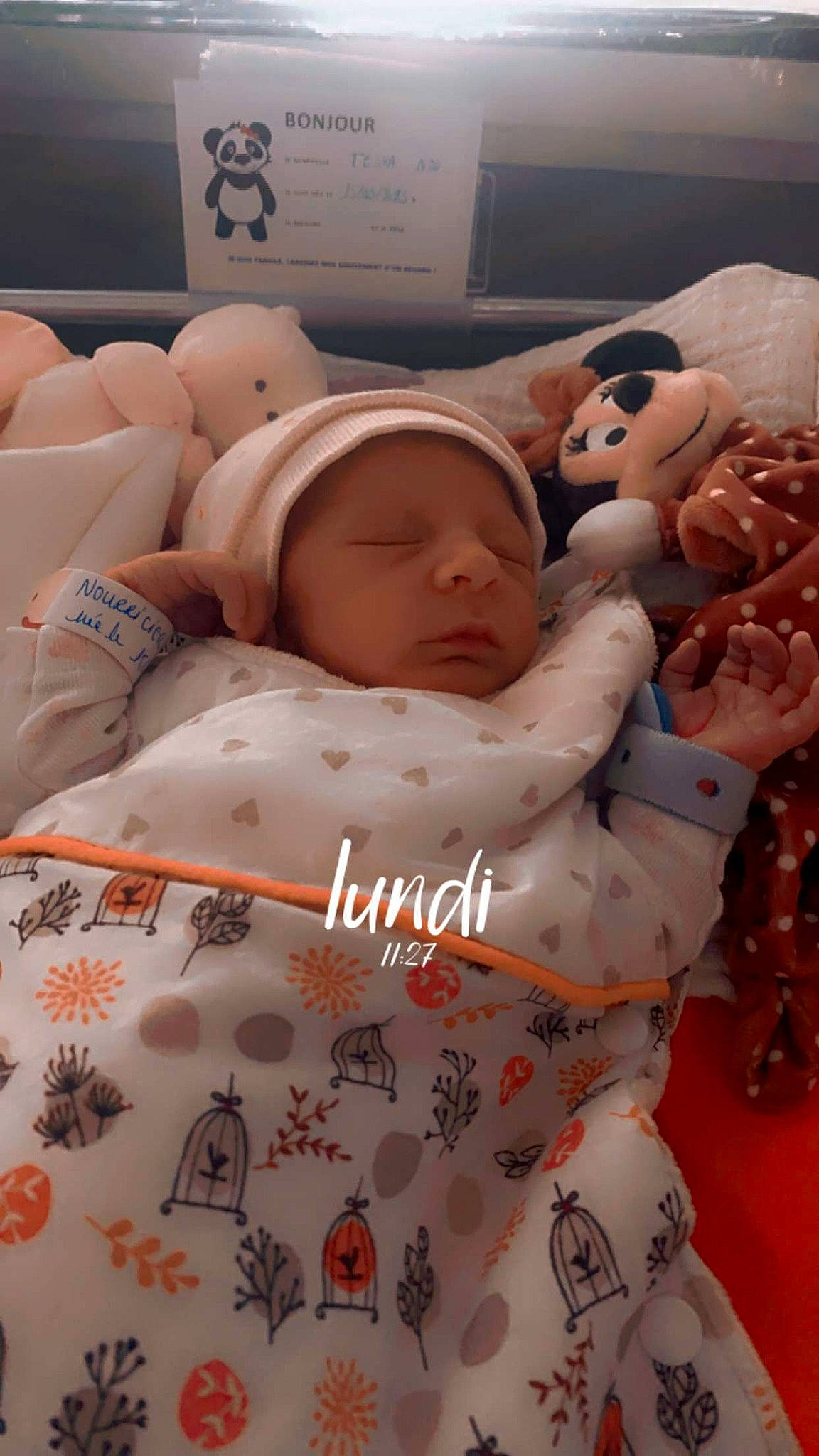 Tessa participe au concours pour gagner de l'argent avec cette photo : baby, baby_sleeping, bedding, bedtime, carmine, cheek, child, comfort, event, font, fur, headwear, linens, pattern, peach, person, product, room, skin, textile