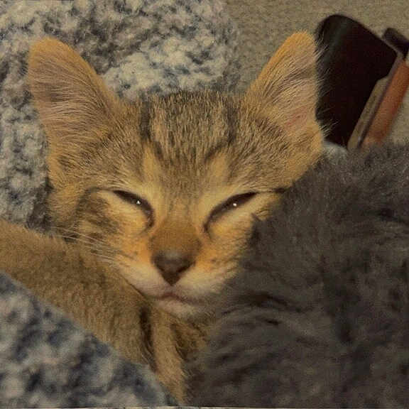 Tigger