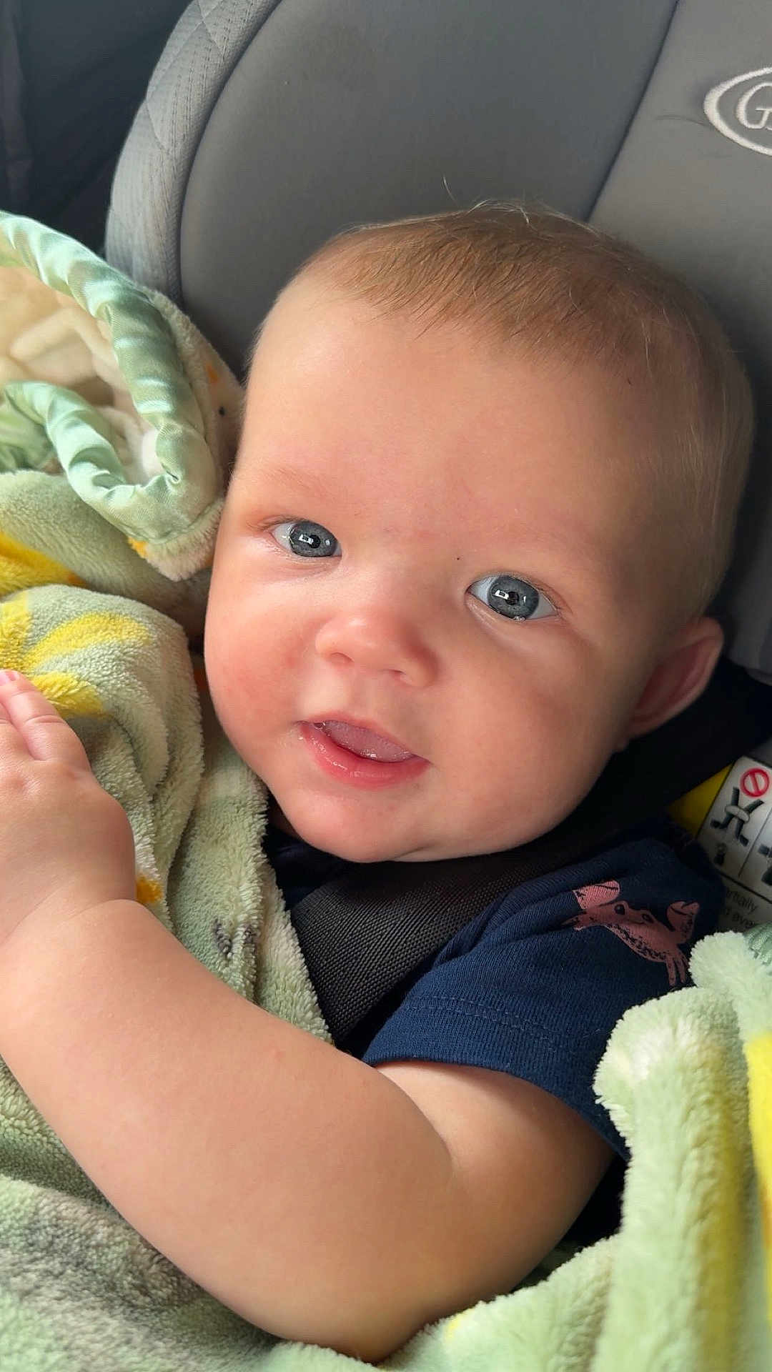 Deegan is registered to the contest to win money with this photo: baby, child, infant, face, blue_eyes, blanket, car_seat, smile, skin, arm, clothing, seatbelt, comfort, cute, portrait, indoors, young, soft_texture, happy, closeup