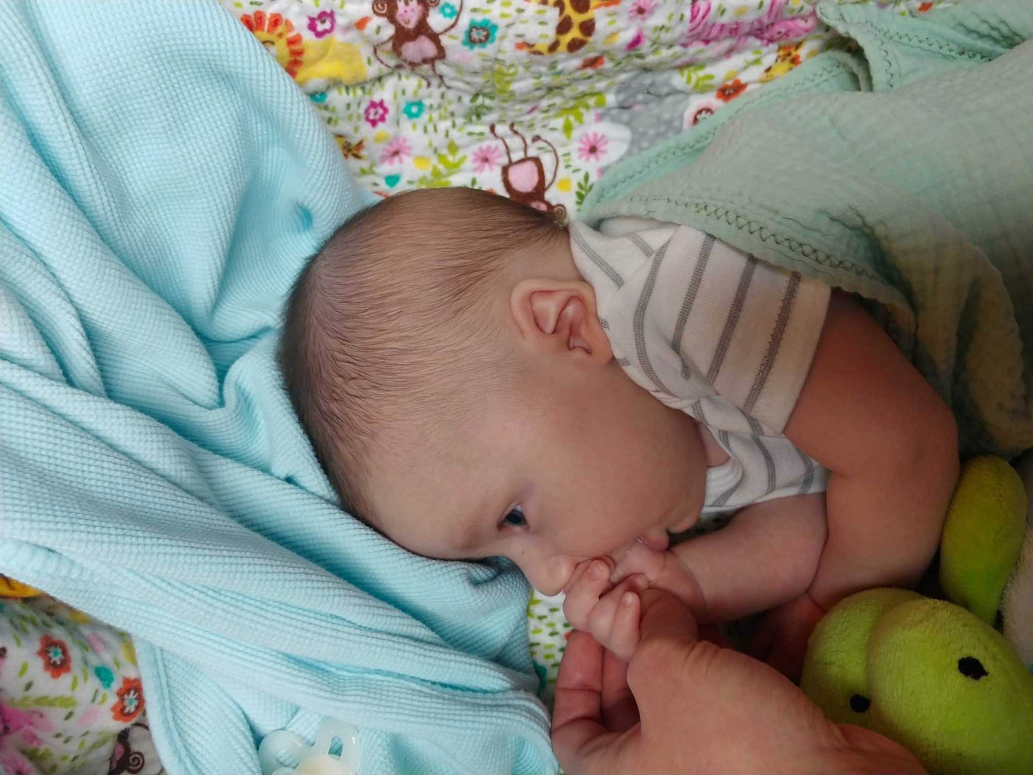 Shiloh Kleiboer is registered to the contest to win money with this photo: baby, baby_products, baby_sleeping, baby_toddler_clothing, bedtime, cheek, child, comfort, fruit, grass, linens, nap, natural_foods, pattern, person, room, skin, sleep, textile, thumb