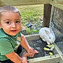 child, toddler, rabbit, pet, animal, cage, outdoor, grass, wood, green_shirt, black_shorts, baby, cute, face, sitting, nature, daylight, vegetable, lettuce, playful
