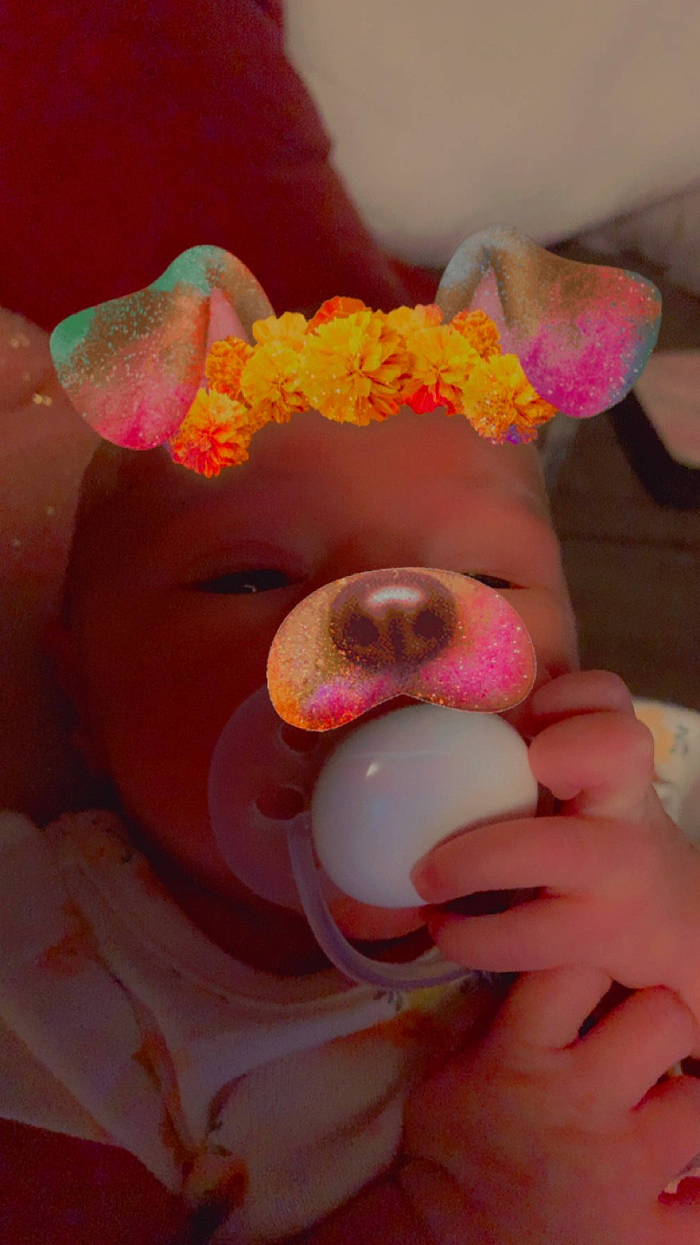 Chloe joined the competition — help win amazing prizes! baby_products, child, cut_flowers, ear, eyelash, fashion_accessory, finger, flower, happy, lip, mouth, nail, nose, peach, person, petal, pink, stuffed_toy, sweetness, thumb