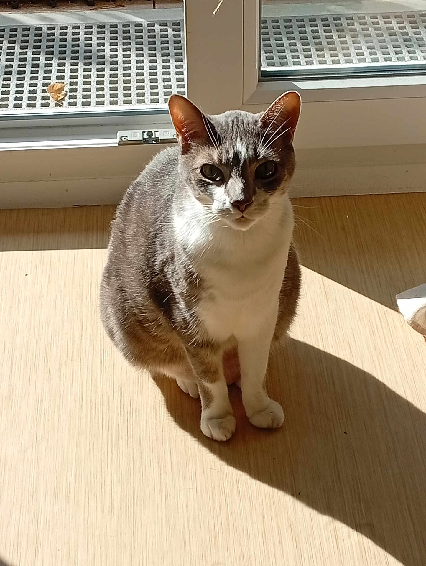 Jack