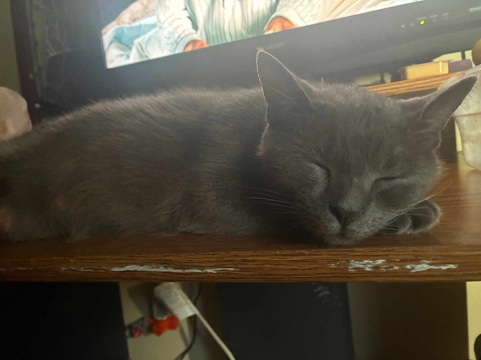 Smoke is registered to the contest to win money with this photo: cat, gray_cat, sleeping, wooden_surface, indoor, cozy, feline, pet, animal, ears, whiskers, close_up, resting, peaceful, domestic, fur, table, television, background, quiet