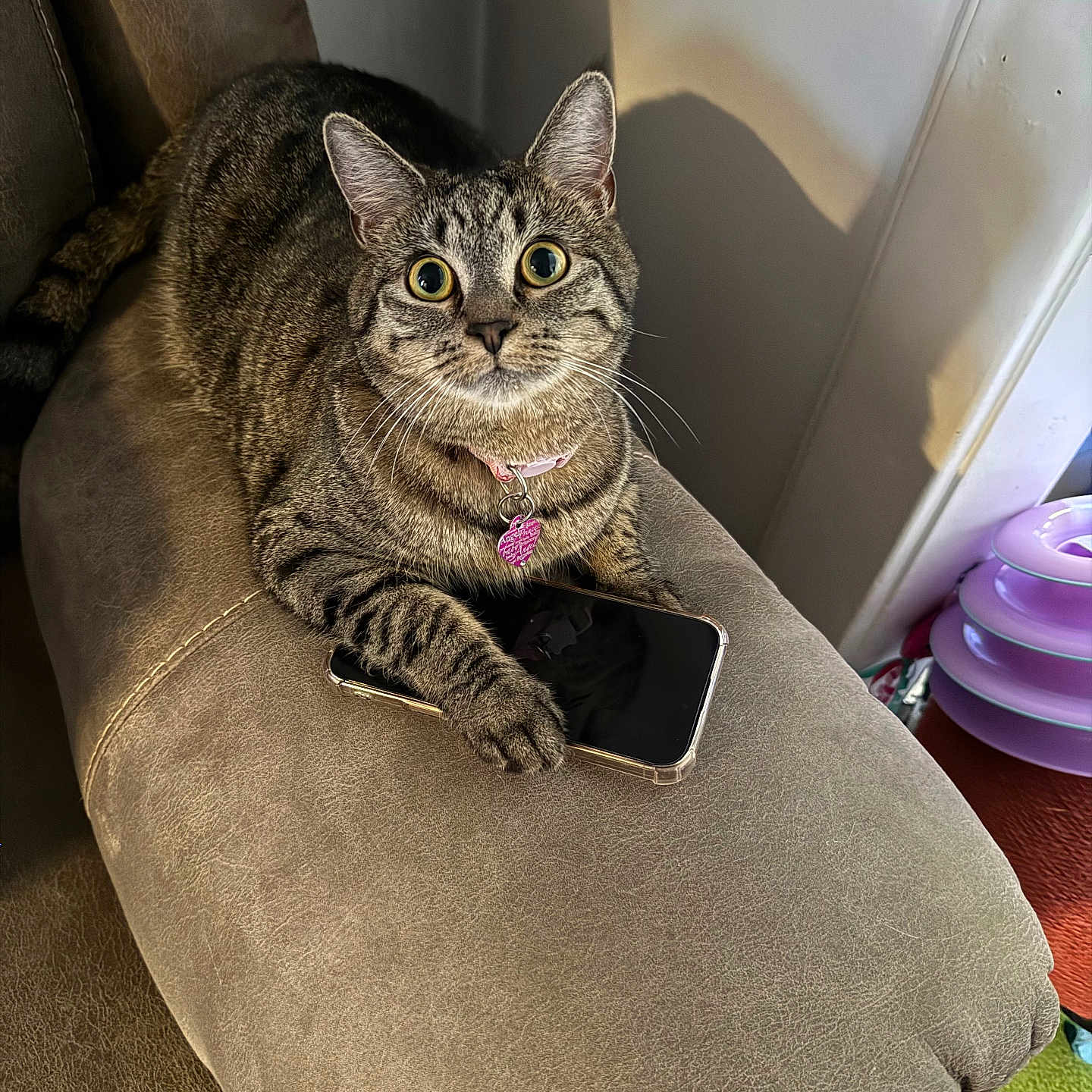 Nala