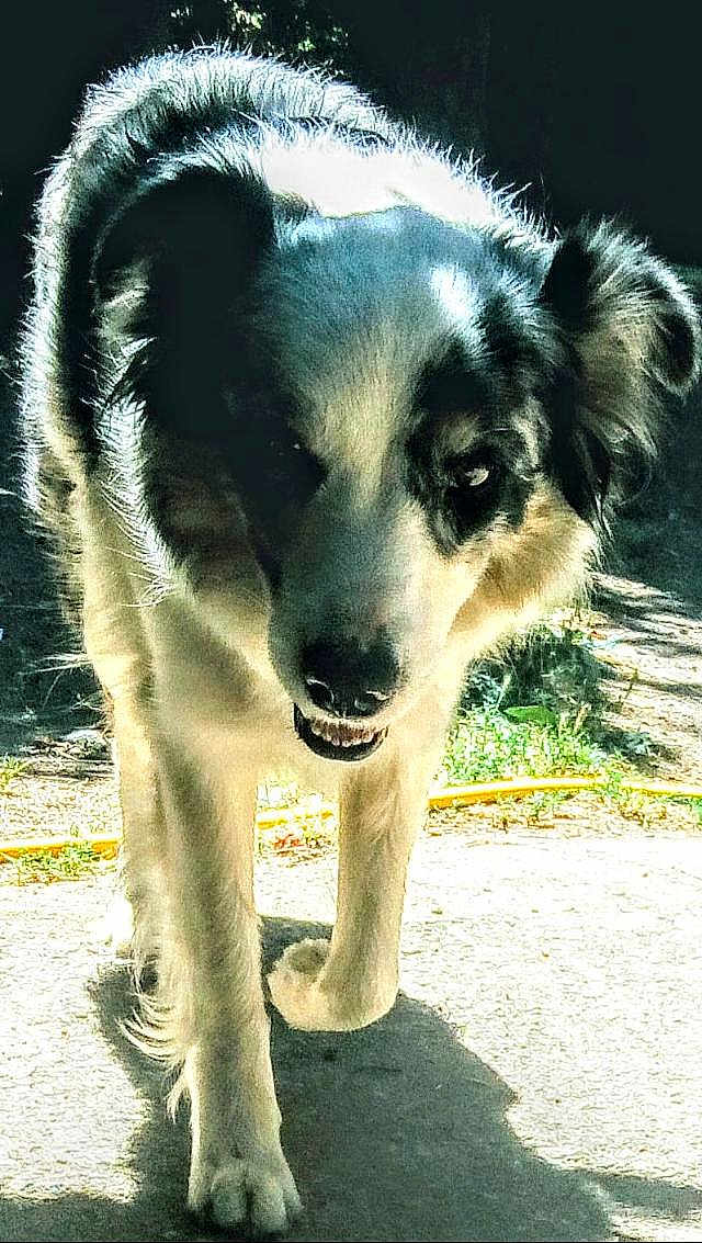 Alaska