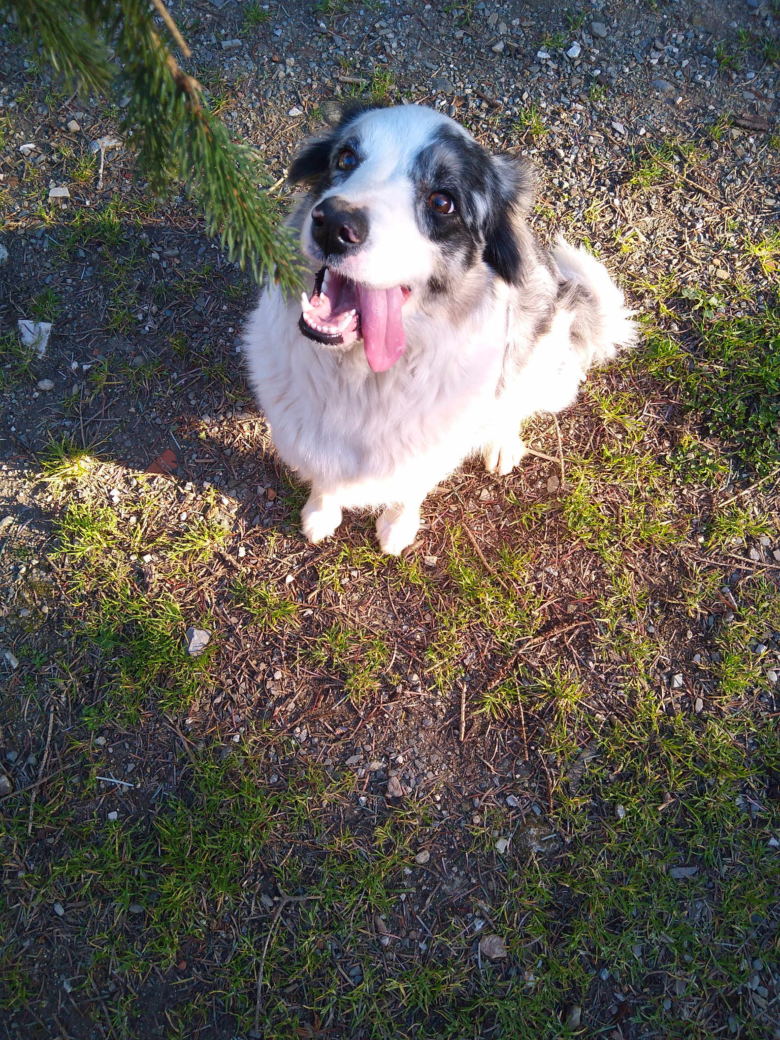 Alaska