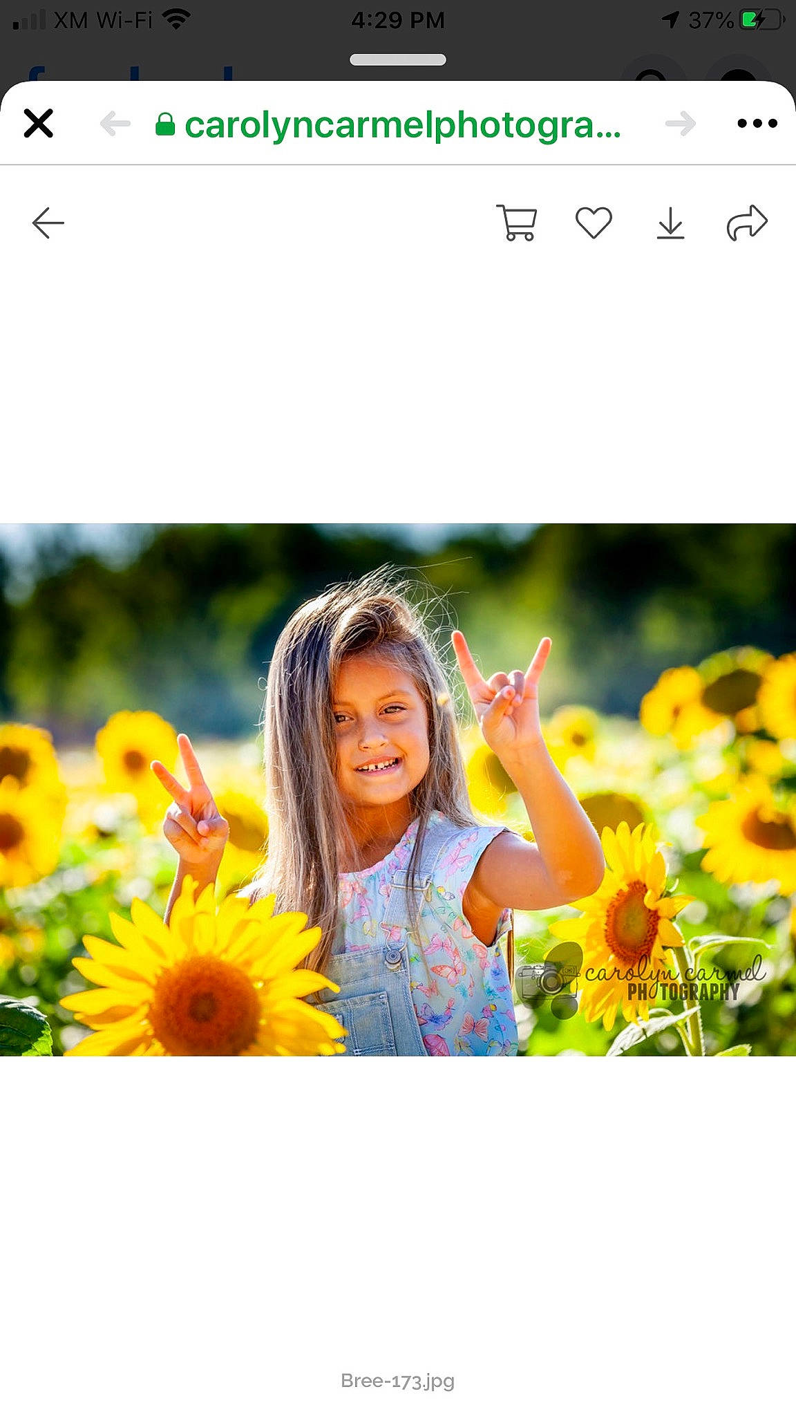 Briseis joined the competition — help win amazing prizes! adaptation, beauty, flower, font, grass, happy, joy, meadow, morning, natural_landscape, orange, people_in_nature, person, petal, photograph, plant, product, screenshot, smile, summer