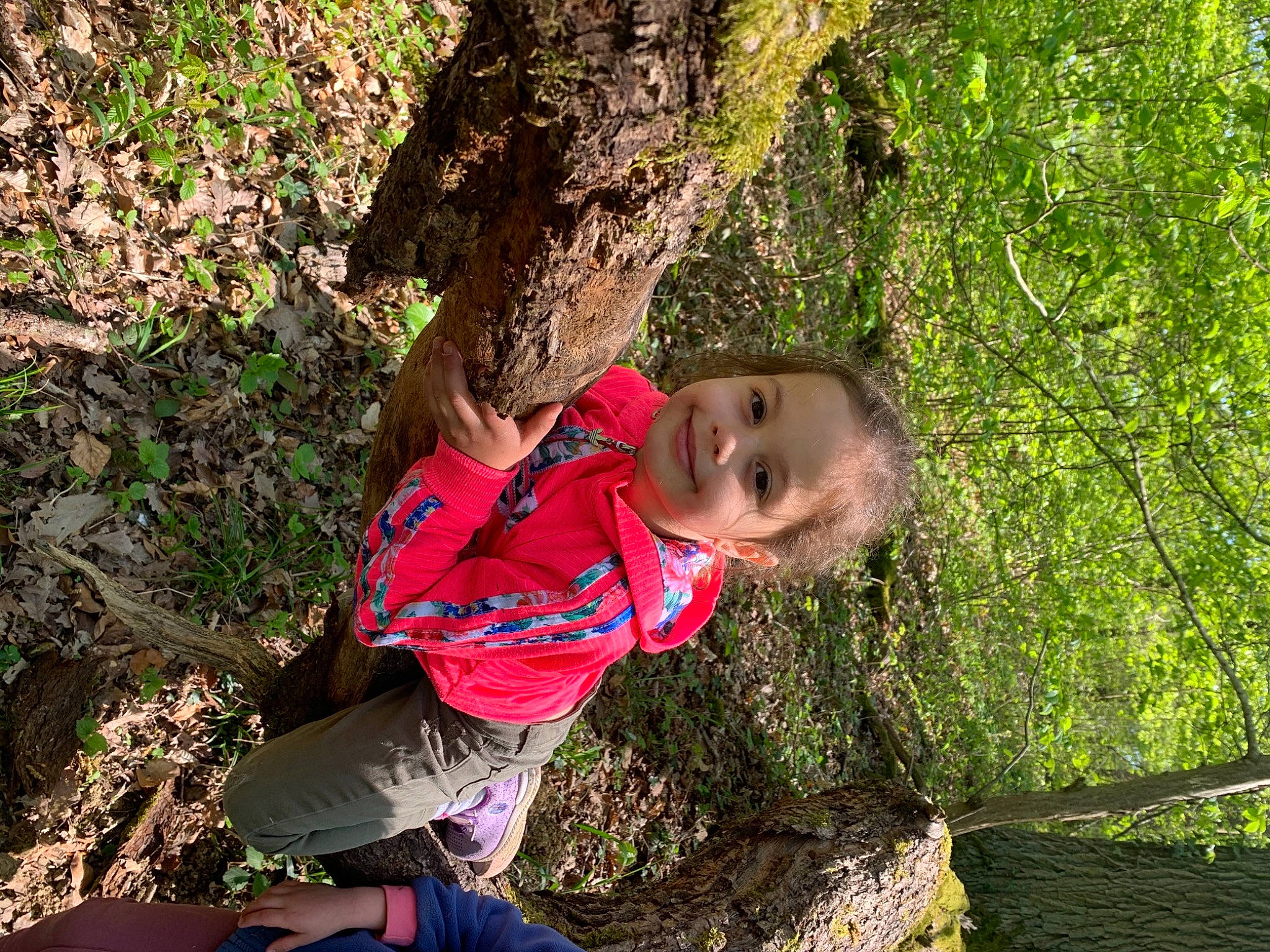 Amina a rejoint le concours — aidez-le/la à gagner de superbes lots ! adaptation, adventure, forest, fun, grass, happy, joy, jungle, landscape, leisure, organism, people_in_nature, person, plant, recreation, rock, soil, terrestrial_plant, tree, trunk