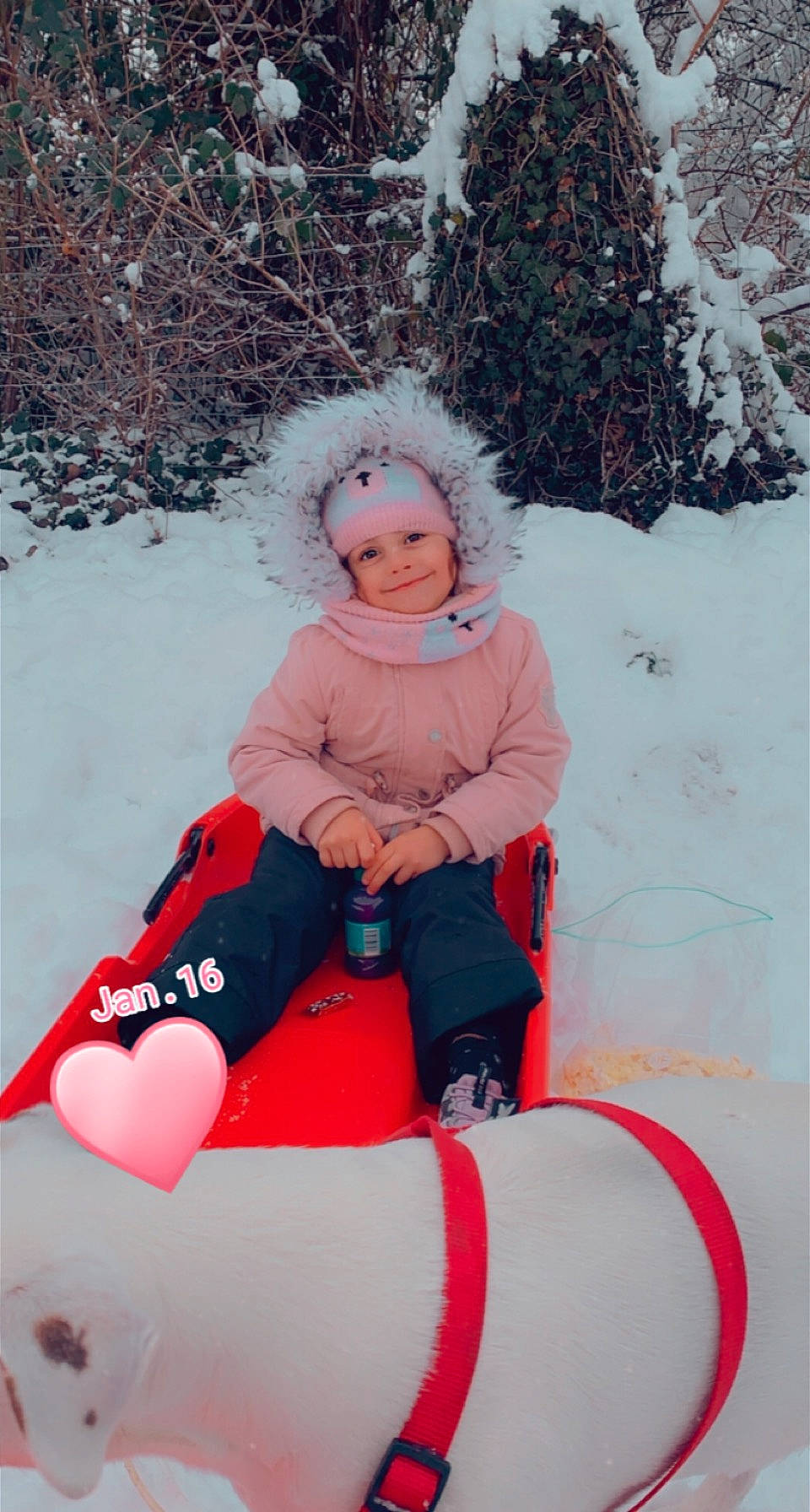 Amina a rejoint le concours — aidez-le/la à gagner de superbes lots ! carmine, child, eye, face, freezing, fun, happy, headwear, joy, knee, leisure, person, personal_protective_equipment, play, playing_in_the_snow, recreation, sitting, sledding, smile, snow