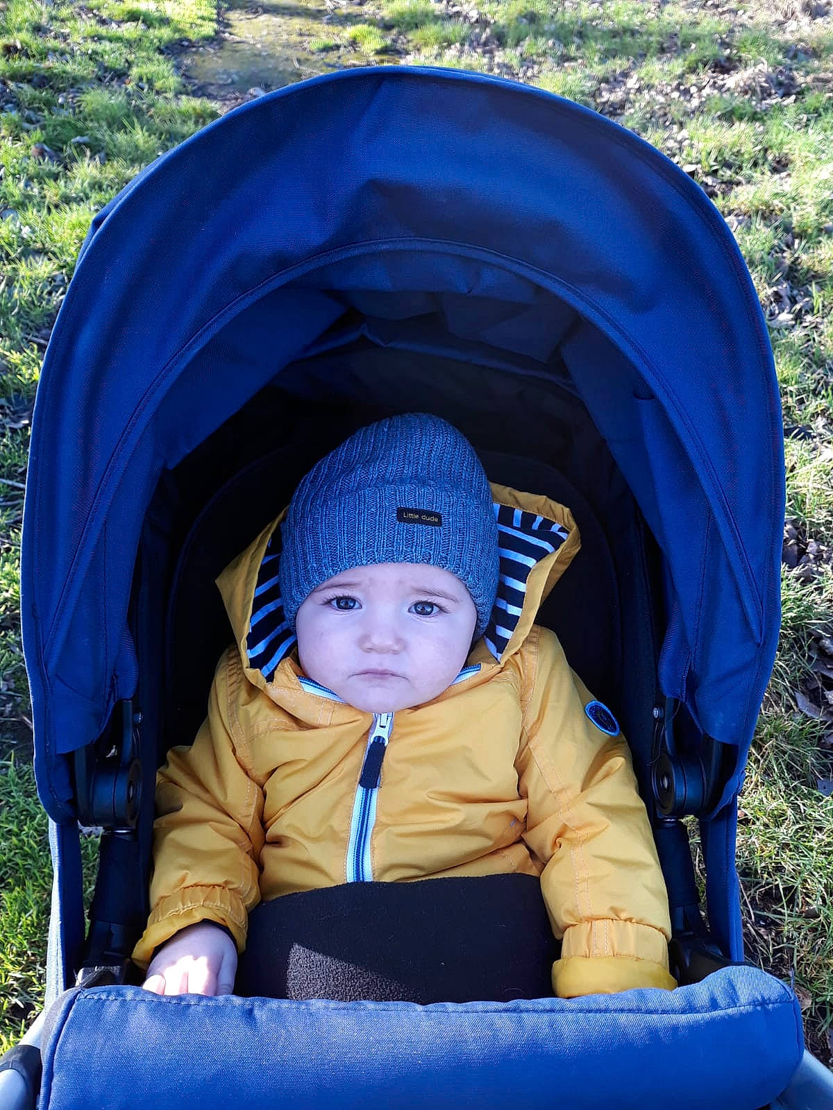 Jenson joined the competition — help win amazing prizes! baby, baby_carriage, baby_products, blue, child, grass, headgear, jacket, leisure, outerwear, person, plant, play, product, recreation, sitting, toddler, tree, vacation, vehicle