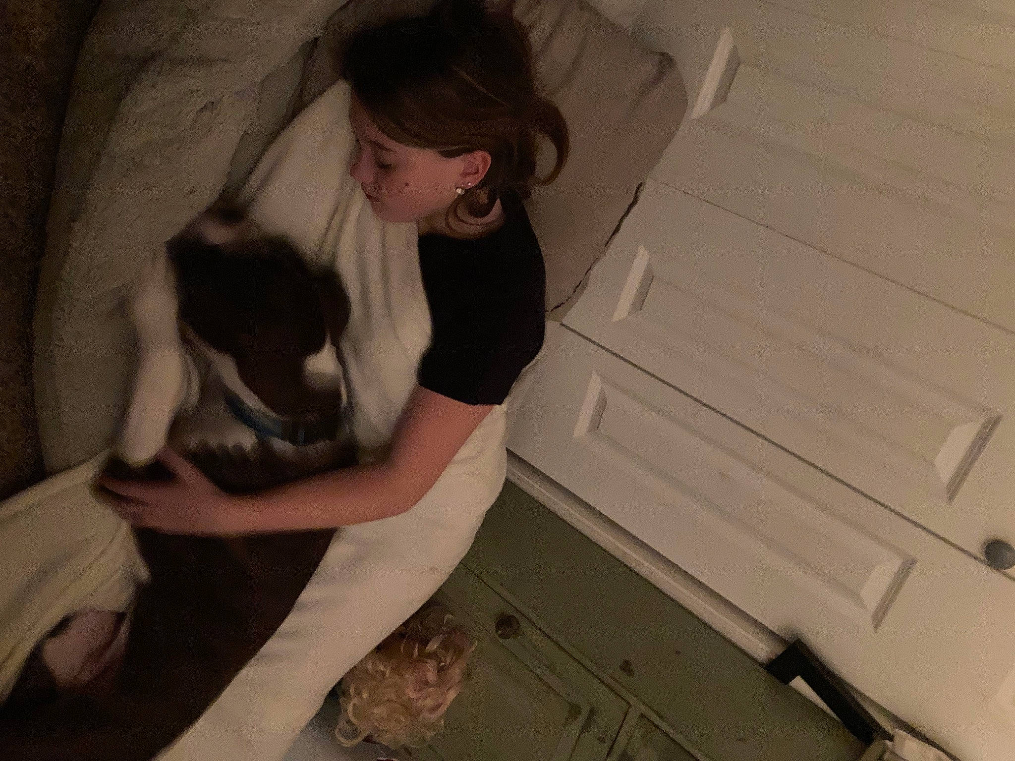 Brady is registered to the contest to win money with this photo: arm, comfort, companion_dog, dog_breed, elbow, felidae, flash_photography, floor, flooring, fun, fur, hardwood, human_leg, joint, knee, room, shoulder, sitting, thigh, wood