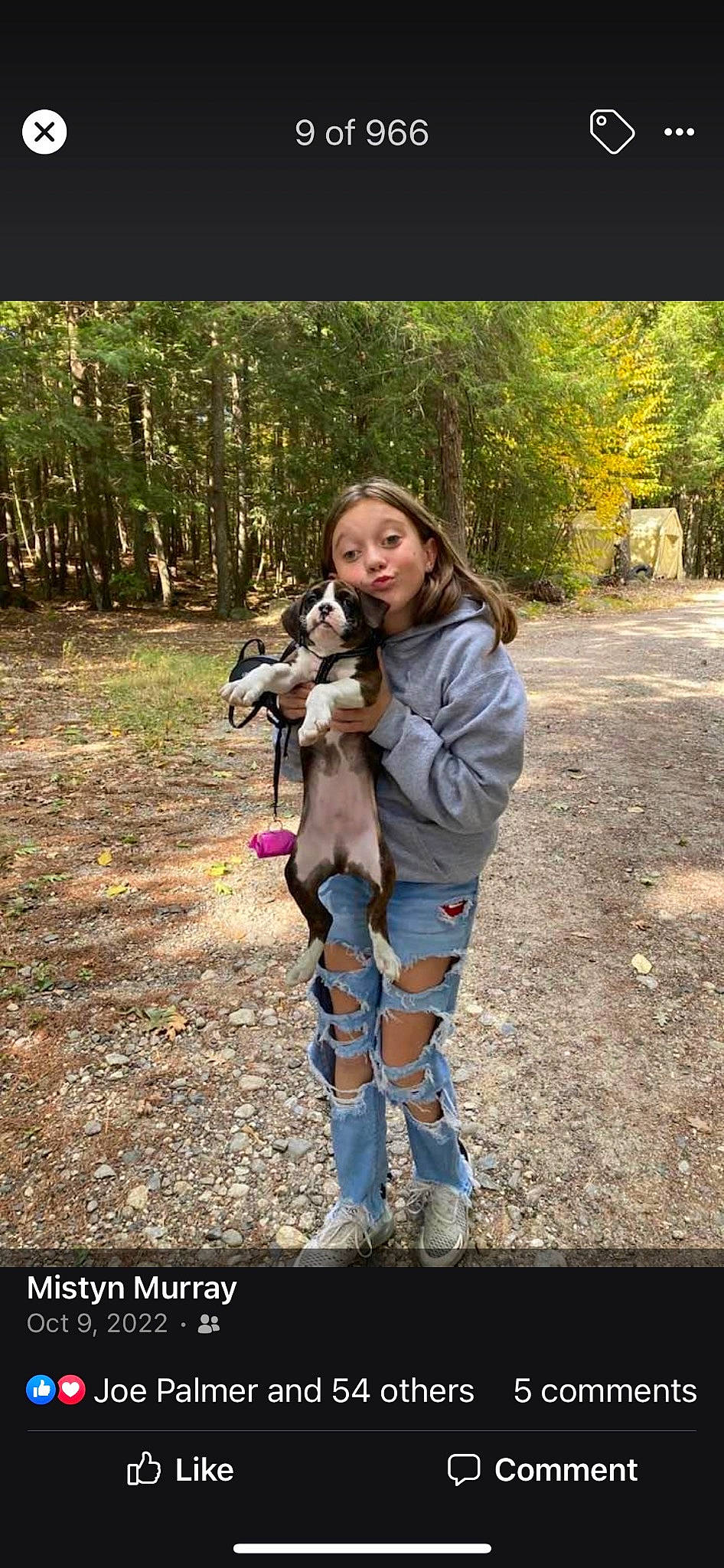 Brady joined the competition — help win amazing prizes! blond, boot, brown_hair, carnivore, companion_dog, denim, fawn, forest, fur, grass, happy, knee, leisure, long_hair, people_in_nature, plant, tree, wilderness, wood, woodland