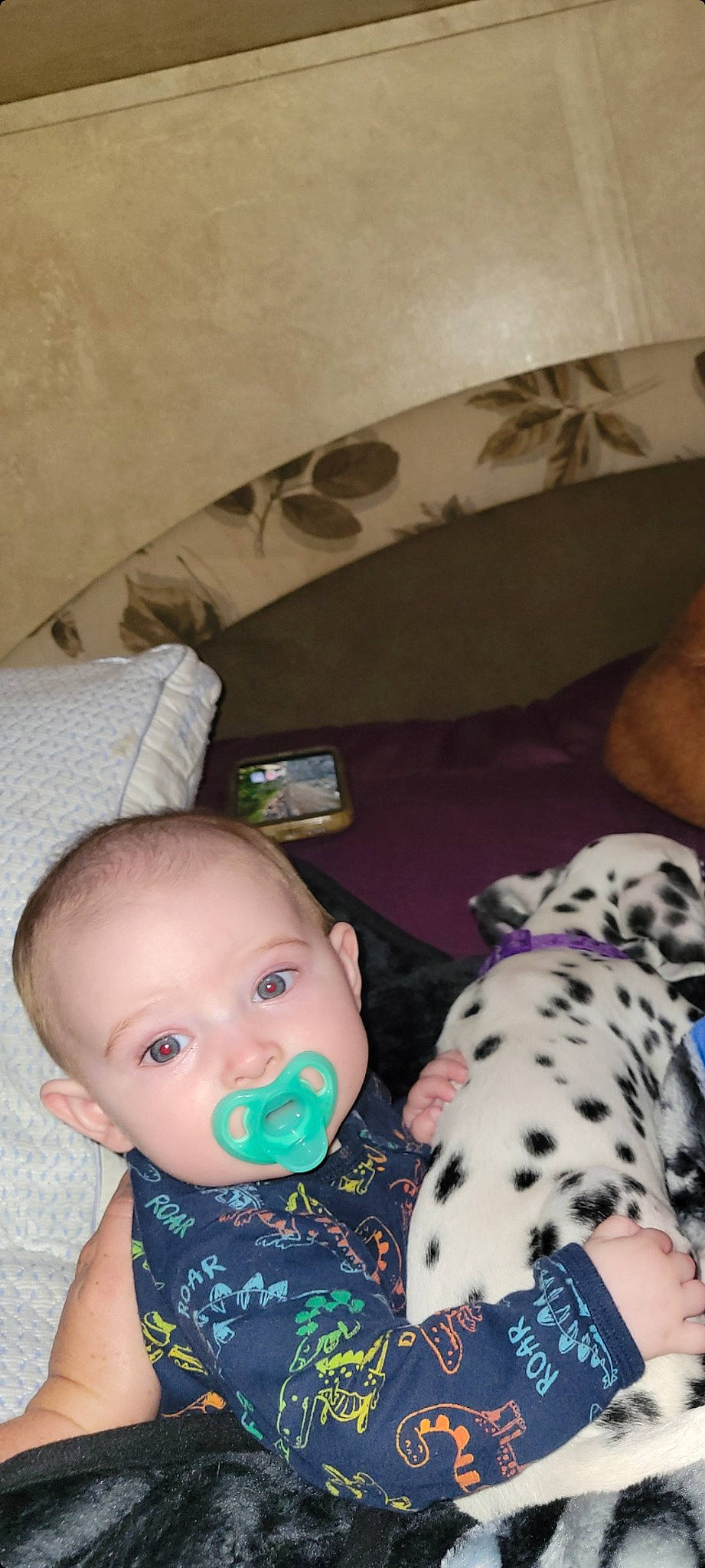 Roland joined the competition — help win amazing prizes! baby, baby_toddler_clothing, cheek, child, comfort, flooring, fun, head, linens, pattern, person, play, room, sitting, skin, sock, toddler