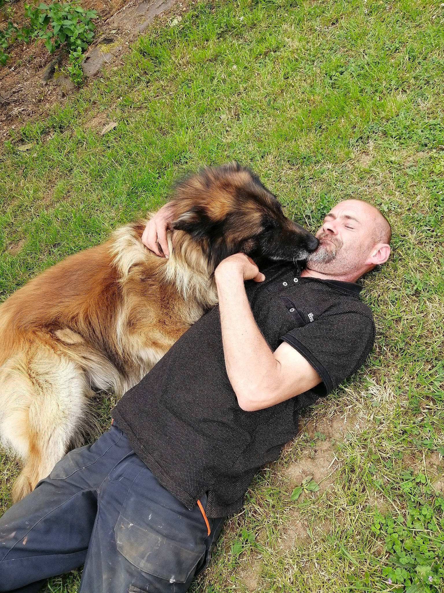 Farouck participe au concours pour gagner de l'argent avec cette photo : canidae, carnivore, companion_dog, dog, dog_breed, fawn, felidae, fun, fur, grass, grassland, happy, hug, lawn, mammal, people_in_nature, sitting, sporting_group, vertebrate, working_animal