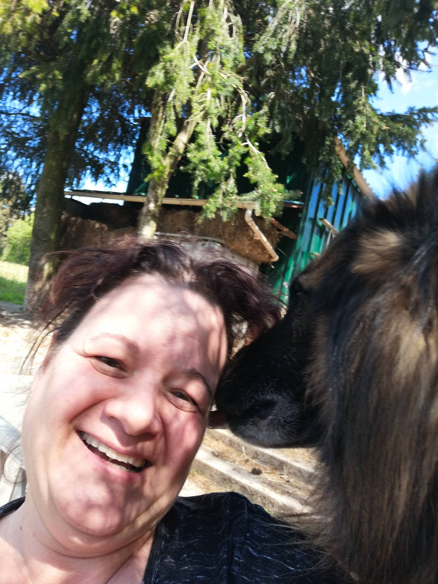 Farouck participe au concours pour gagner de l'argent avec cette photo : black_hair, botany, carnivore, companion_dog, dog_breed, eyewear, fawn, fun, grass, happy, leisure, people_in_nature, plant, selfie, smile, sporting_group, travel, tree, working_animal, wrinkle