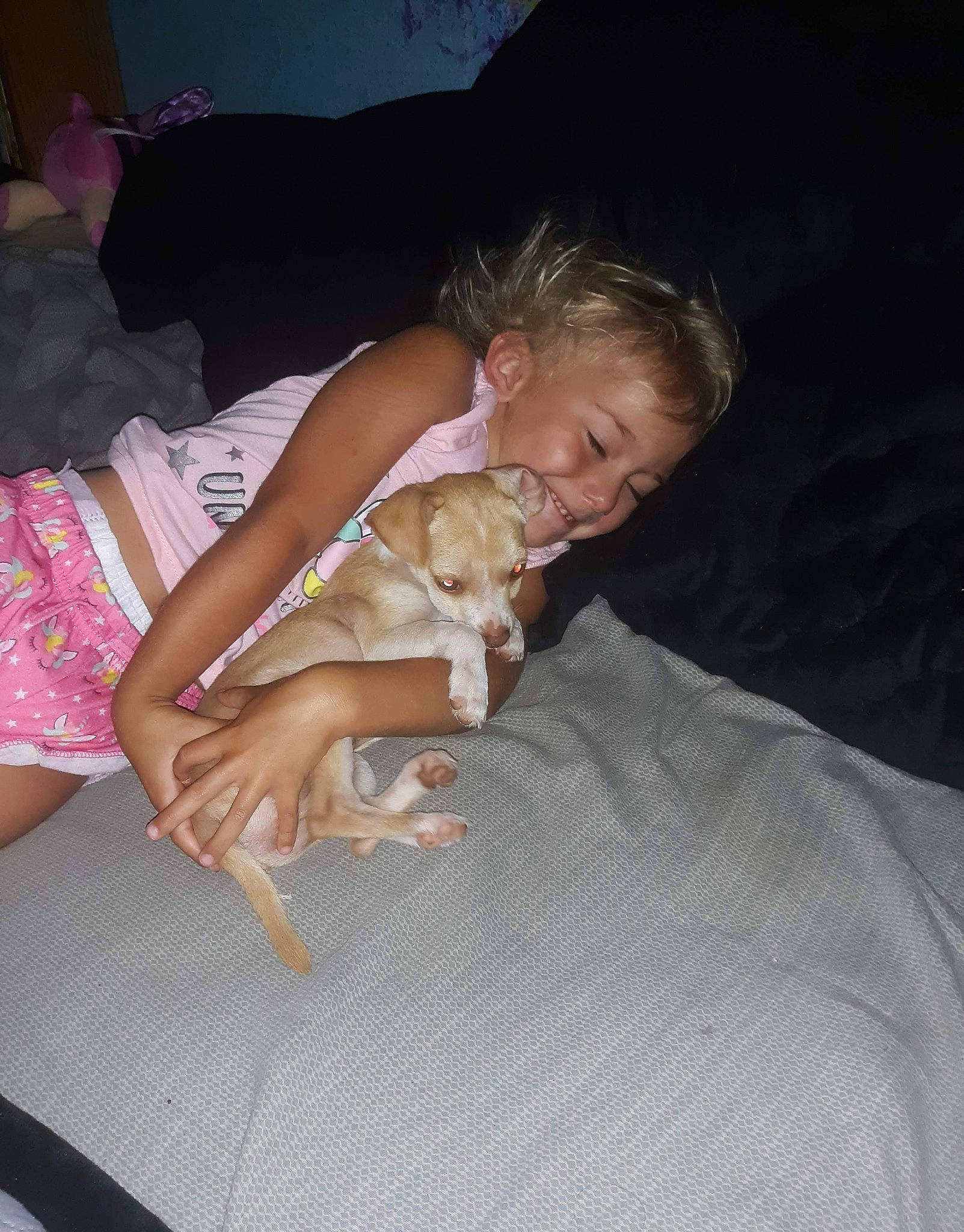 Elizabeth joined the competition — help win amazing prizes! abdomen, barefoot, carnivore, comfort, companion_dog, dog, dog_breed, elbow, fawn, finger, foot, fun, human_leg, joy, knee, lap, linens, nail, person, thigh