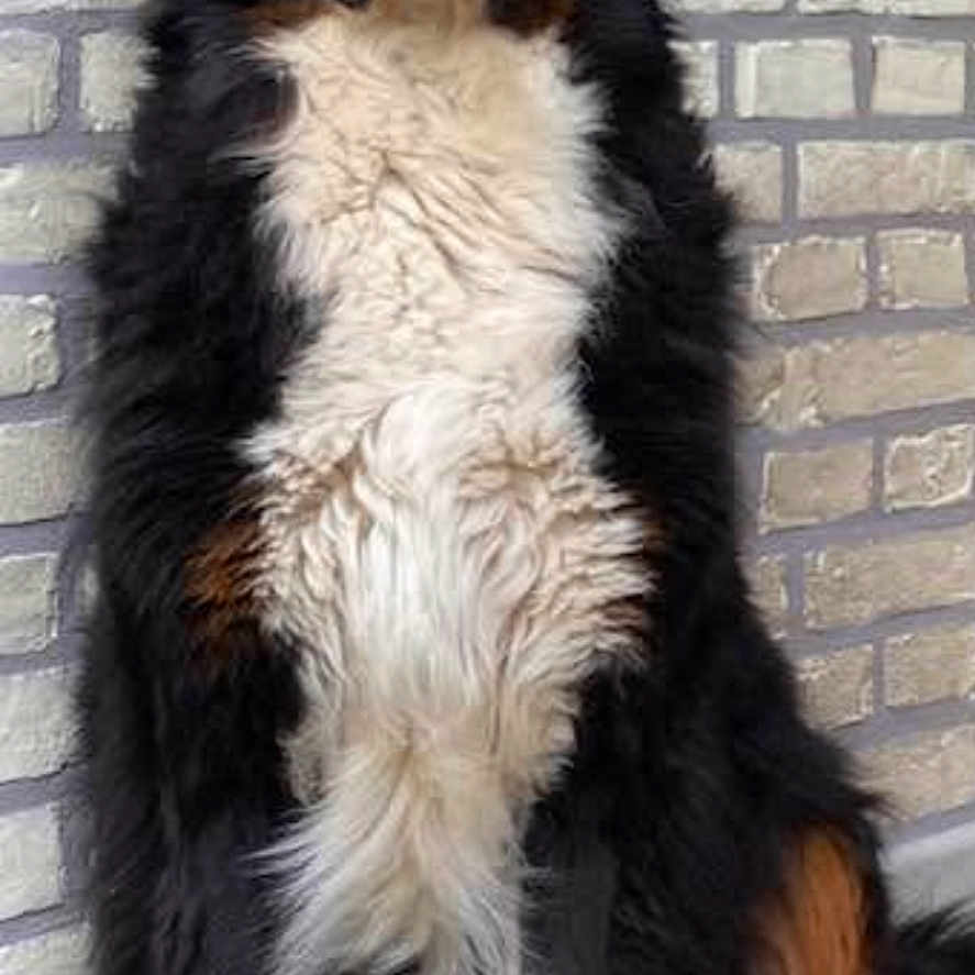 Marley