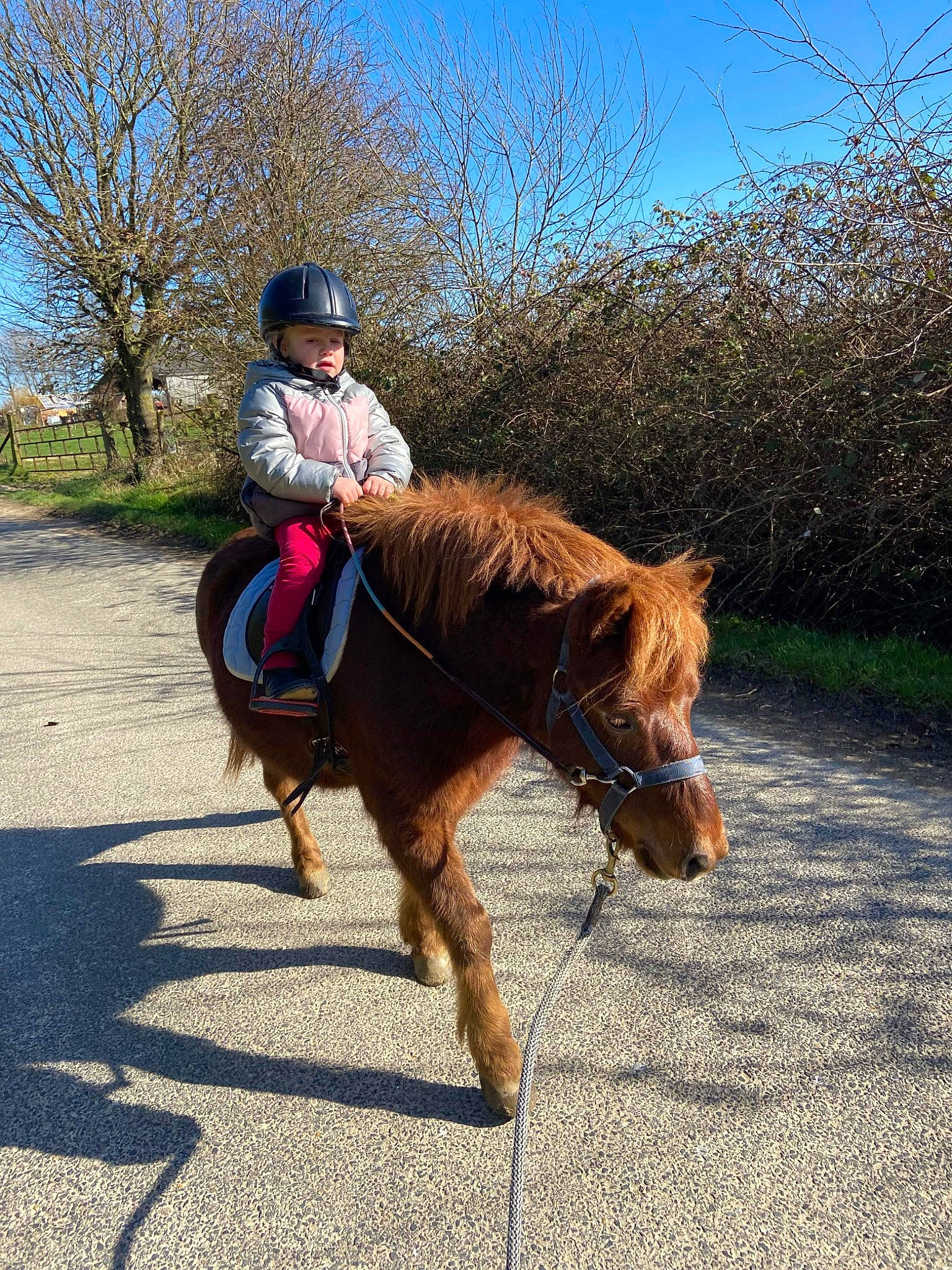 Maéva participe au concours pour gagner de l'argent avec cette photo : bit, bridle, ecoregion, equestrian_sport, equestrianism, headwear, horse, horse_supplies, horse_tack, landscape, leisure, mane, pack_animal, person, plant, recreation, rein, saddle, sky, sorrel