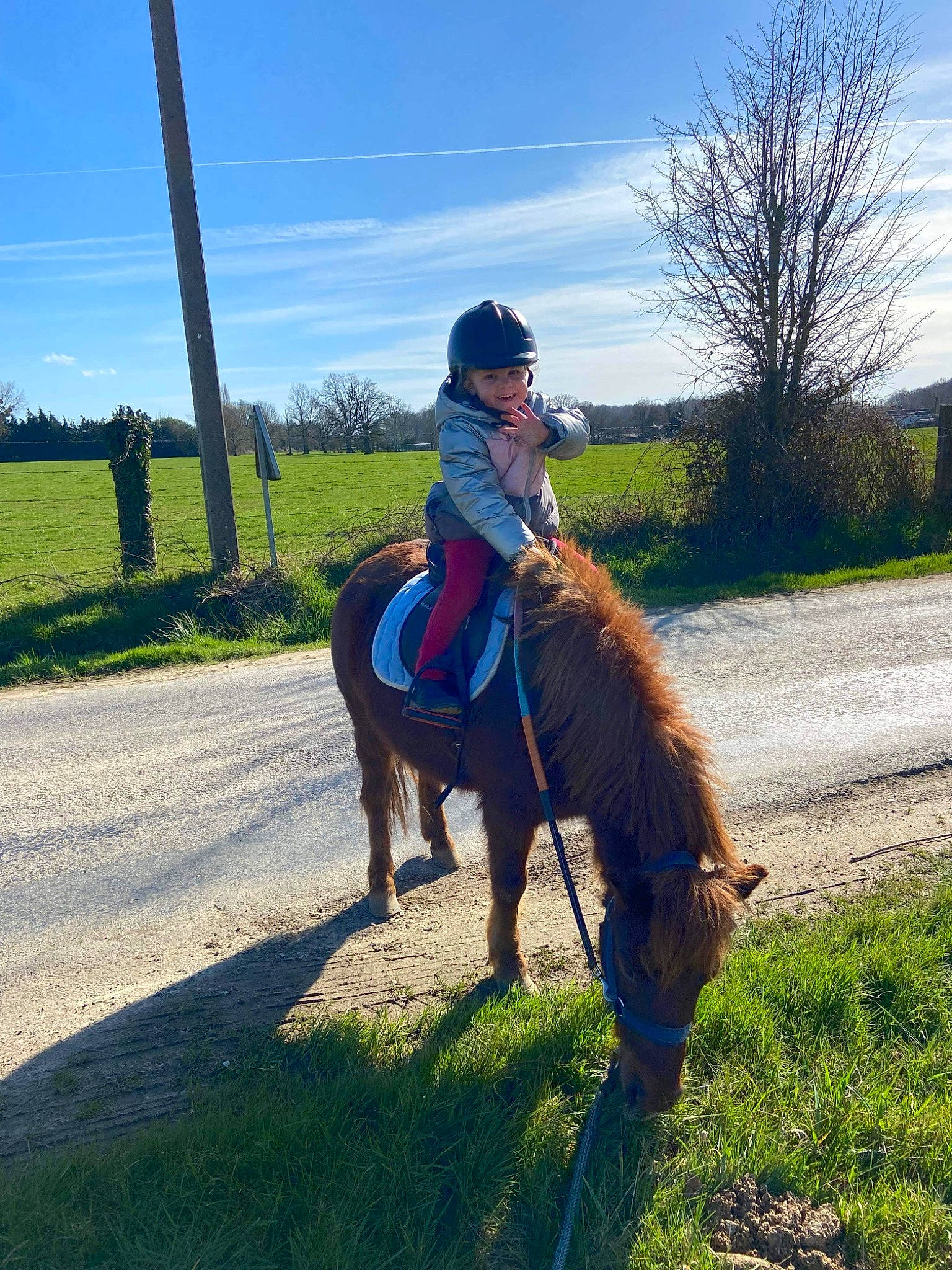 Maéva participe au concours pour gagner de l'argent avec cette photo : bridle, cloud, dog_breed, equestrianism, grass, grassland, headwear, horse, horse_supplies, horse_tack, landscape, leash, mane, meadow, people_in_nature, person, plant, rein, sky, tail