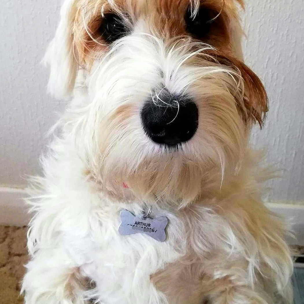 Arthur